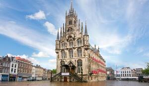 gouda